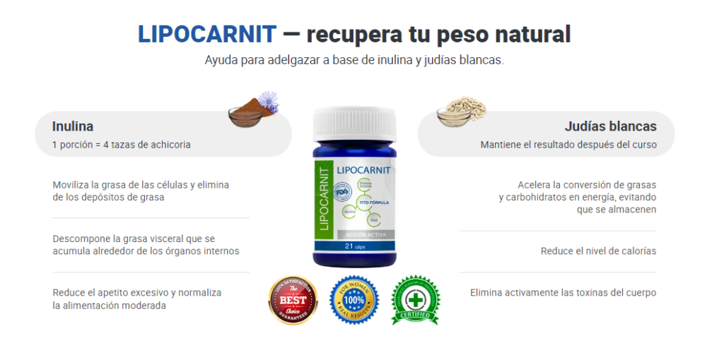 Lipocarnit Ingredientes