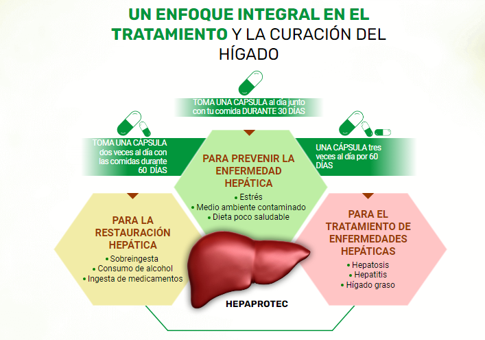 Hepaprotec Ingredientes