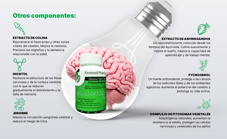 Memory plus Ingredientes