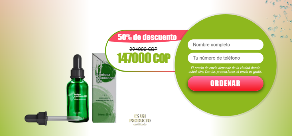 Bambusa arundinacea 8CH Precio